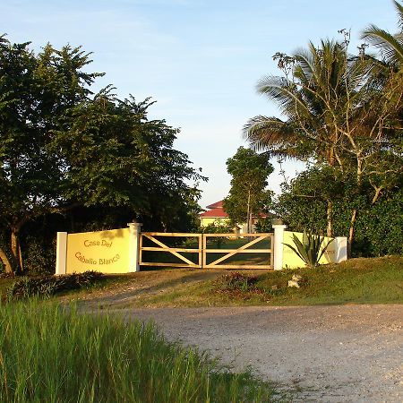 ホテル Casa Del Caballo Blanco サン・イグナシオ エクステリア 写真