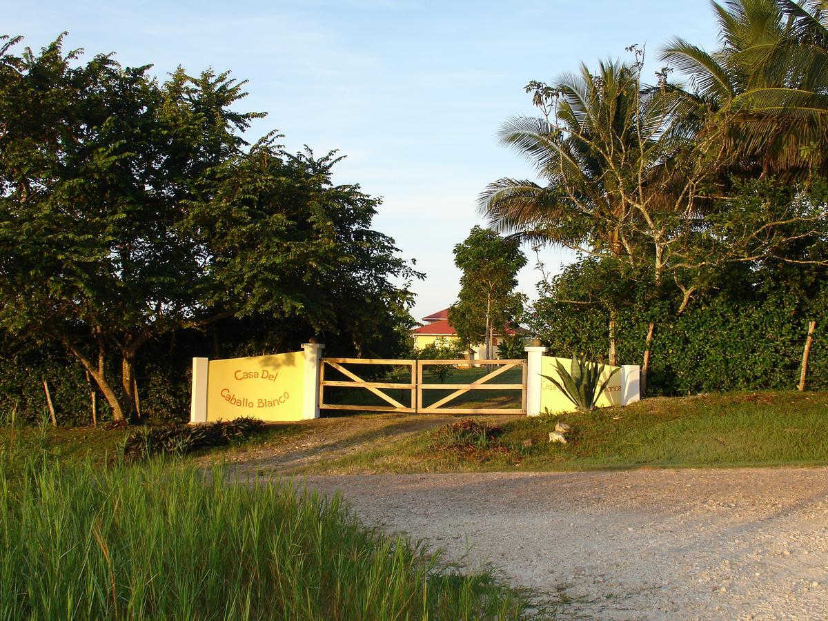 ホテル Casa Del Caballo Blanco サン・イグナシオ エクステリア 写真